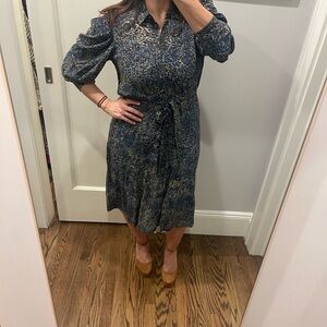 Blue Leopard Print Dress